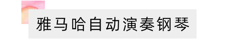 活动报道 | “科技助力，跨越时空”，小鹿纯子携手刘明康共享中日音乐盛宴